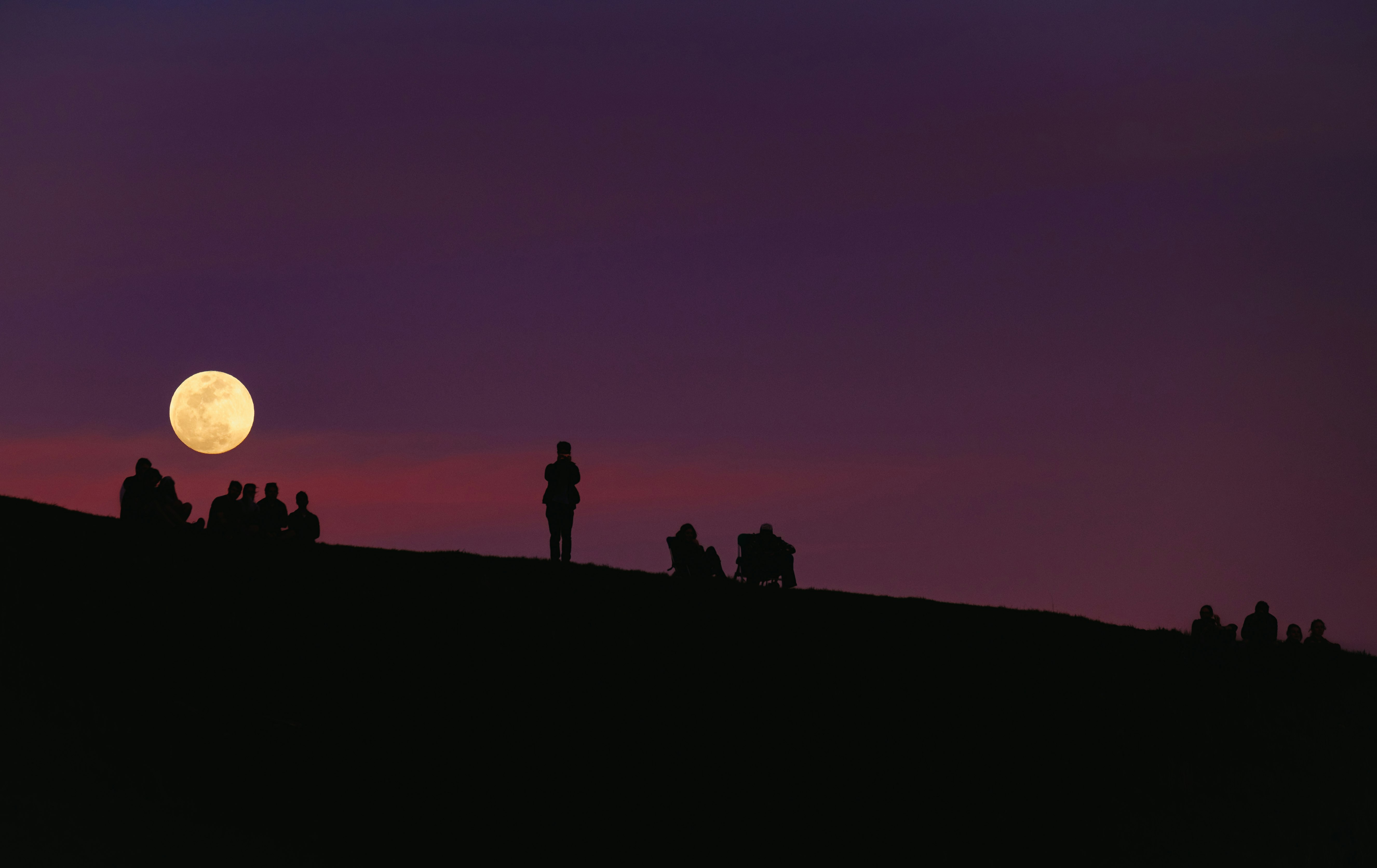 silhouette of group of people under purple night sky